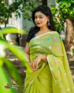 সবুজ ফড়িং - Image 2