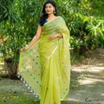 সবুজ ফড়িং