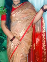 শাড়ি কোড: স্বর্ণাঞ্জলি" (The Golden Offering) - Image 4